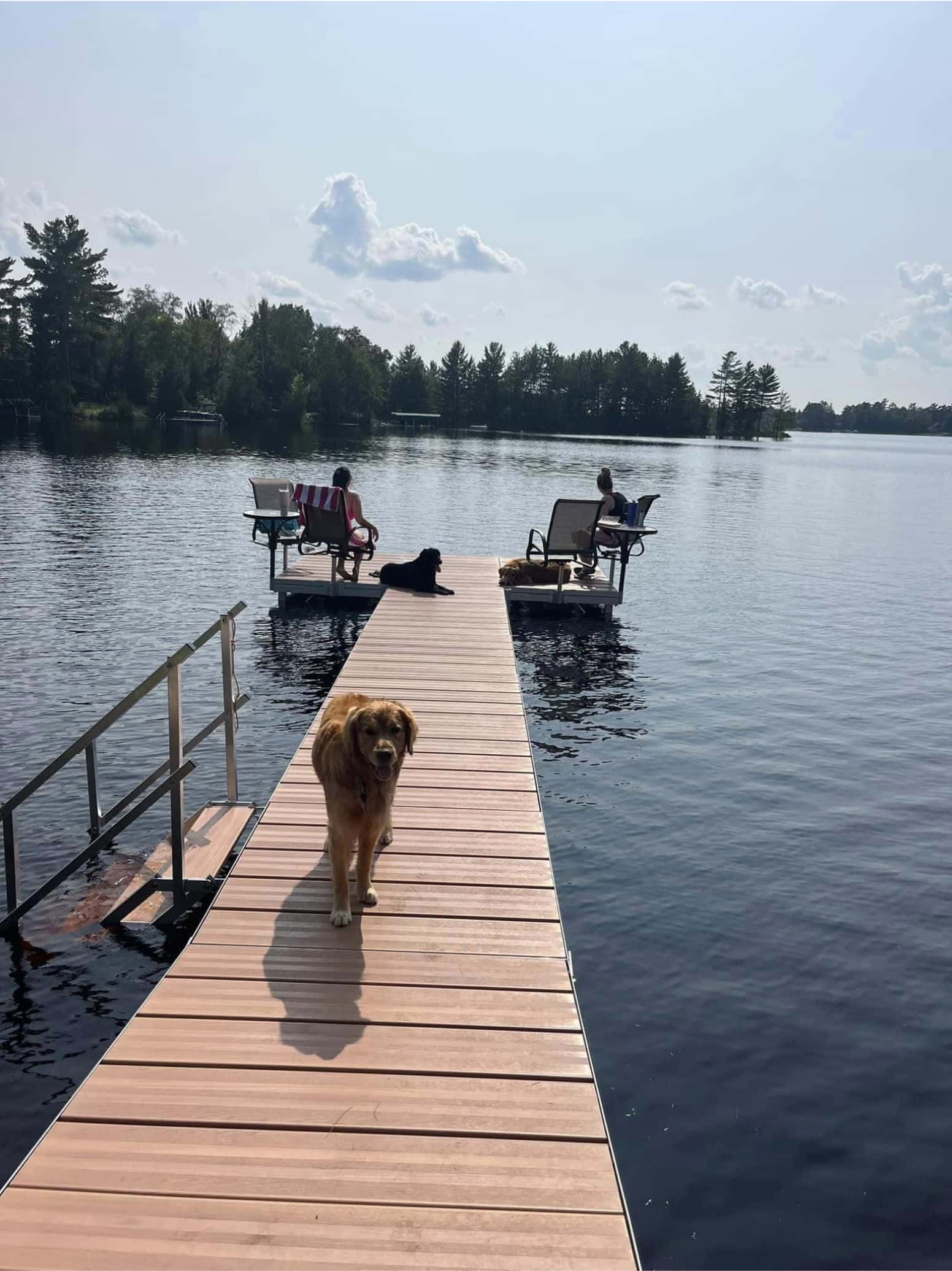 pups-on-dock